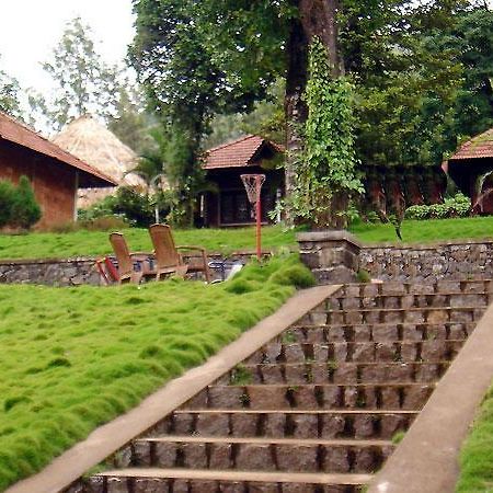 Hotel Misty Woods Dharamshala Extérieur photo