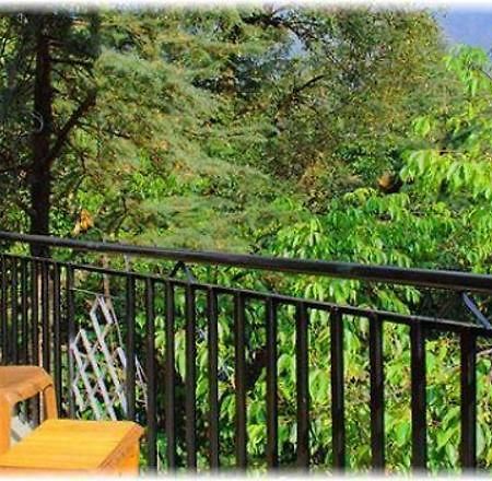 Hotel Misty Woods Dharamshala Extérieur photo